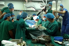 Ảnh minh họa. (Ảnh: Tư liệu của Bệnh viện Hữu nghị Việt Đức-TTXVN phát)