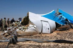 Hiện trường vụ tai nạn máy bay. (Nguồn: Bộ Tình trạng khẩn cấp Nga)