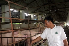 Ảnh chỉ mang tính minh họa. (Nguồn: TTXVN)