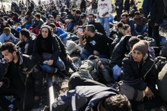 Người di cư từ Liberia, Maroc, Pakistan, Sri Lanka và Sudan tại khu vực Gevgelija ở biên giới Macedonia-Hy Lạp ngày 19/11. (Ả​nh: AFP/TTXVN)