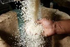 Ảnh minh họa. (Nguồn: english.alarabiya.net)