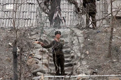 Triều Tiên bắt giữ một người Hàn Quốc do xâm nhập trái phép