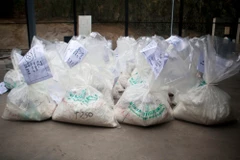 Bỉ và Hà Lan triệt phá mạng lưới buôn ma túy xuyên quốc gia