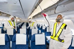 Nhân viên hàng không phun thuốc tẩy trùng trên máy bay tại sân bay quốc tế ở Incheon ngày 5/6. (Ảnh: THX/TTXVN)