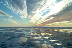 Hiện tượng El Nino khiến nhiệt độ nước biển tăng cao. (Nguồn: robertscribbler.com)