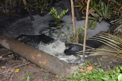 Ảnh minh họa. (Nguồn: TTXVN)