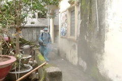 Phun thuốc diệt muỗi phòng chống dịch bệnh sốt xuất huyết tại hộ dân ở thành phố Bắc Ninh, tỉnh Bắc Ninh. (Ảnh: Thái Hùng/TTXVN)