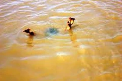 Cha mẹ đi vắng, hai cháu nhỏ đuối nước, tử vong dưới ao sau nhà