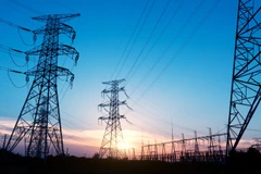 Ảnh minh họa. (Nguồn: Getty Images)