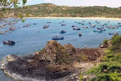 Ghềnh đá đĩa ở Phú Yên. (Ảnh: Thanh Tùng-TTXVN)