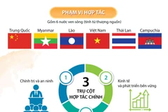 Tổ chức trực tuyến Hội nghị cấp cao Hợp tác sông Mekong-Lan Thương.