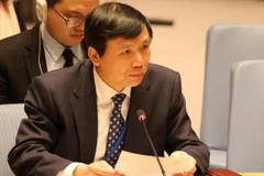 Đại sứ Đặng Đình Quý, Trưởng Phái đoàn Việt Nam tại Liên hợp quốc. (Nguồn: TTXVN)