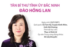 Thông tin về tân Bí thư Tỉnh ủy Bắc Ninh Đào Hồng Lan.