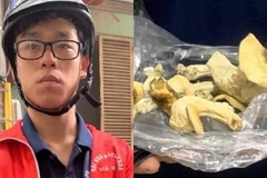 Sản xuất 'nấm thức thần,' nam sinh Đại học Bách Khoa Hà Nội bị khởi tố