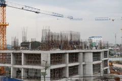 Ảnh minh họa. (Nguồn: TTXVN)