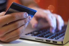 Ảnh minh họa. (Nguồn: Vietnam+)