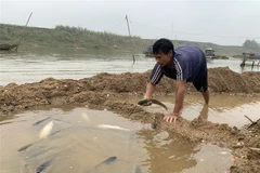 Ảnh minh họa. (Nguồn: TTXVN)