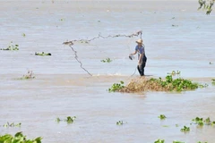 (Ảnh minh họa: Công Mạo/TTXVN)