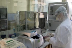 Ảnh minh họa. (Nguồn: TTXVN)