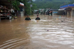 Việt Nam là một trong những nước chịu ảnh hưởng nặng nề của biến đổi khí hậu. (Ảnh minh họa. Nguồn: TTXVN)