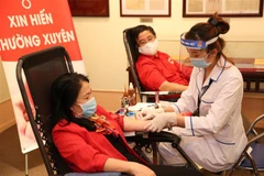 Ảnh minh họa. (Nguồn: TTXVN)