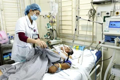 Ảnh minh họa. (Nguồn: TTXVN)