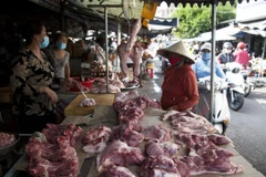 Ảnh minh họa. (Nguồn: TTXVN)