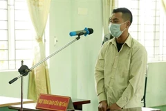 Bị cáo Đào Xuân Anh Doanh. (Ảnh: TTXVN)