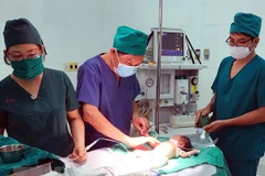 Ảnh minh họa. (Nguồn: TTXVN)