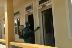 Phun thuốc tiêu độc khử trùng tại Thừa Thiên-Huế. (Ảnh: Hồ Cầu/TTXVN)