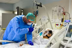 Nhân viên y tế động viên một bệnh nhân mắc COVID-19 tại một bệnh viện ở Bergamo, Italy ngày 3/4/2020. (Ảnh: AFP/TTXVN)