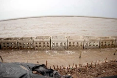 Ảnh minh họa. (Nguồn: TTXVN)