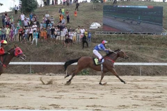 Trường đua Thiên Mã-Madagui Lâm Đồng. (Nguồn: Dalattrip)