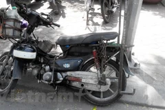 Ảnh minh họa. (Nguồn: Vietnam+)