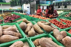 Khách hàng mua sắm tại siêu thị Mega Market Hoàng Mai, Hà Nội. (Ảnh: Trần Việt/TTXVN)