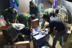 Một vụ buôn lậu thuốc lá bị phát hiện. (Nguồn: TTXVN)