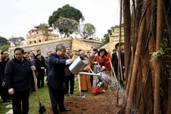 Thường trực Ban Bí thư Trần Quốc Vượng cùng các đại biểu Trung ương và Thành phố Hà Nội trồng cây lưu niệm tại Hoàng Thành Thăng Long. (Ảnh: Văn Điệp/TTXVN)