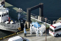 Nhân viên y tế chuyển các bệnh nhân nhiễm virus nCoV từ tàu du lịch Diamond Princess lên xe cứu thương tại cảng Yokohama, Nhật Bản ngày 5/2/2020. (Ảnh: THX/TTXVN) ​