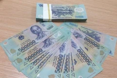 Ảnh minh họa. (Nguồn: Vietnam+)