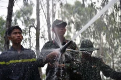 Cán bộ chiến sỹ Bộ Chỉ huy Quân sự tỉnh Kiên Giang chữa cháy rừng tràm. (Ảnh: Lê Phương Vũ/TTXVN)