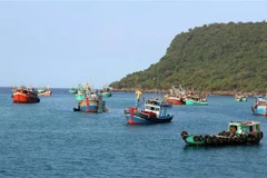 Ảnh minh họa. (Nguồn: TTXVN)