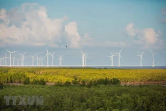 Một góc Khu du lịch điện gió Bạc Liêu. (Ảnh: Trọng Đạt/TTXVN)