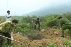 Lực lượng chức năng chôn lấp số động vật bị thu giữ. (Ảnh: Hoa Mai/TTXVN)