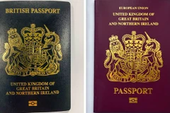 Anh sẽ đổi hộ chiếu từ màu đỏ tía sang màu xanh. (Nguồn: BBC)