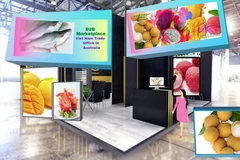 Sàn giao thương doanh nghiệp 2 chiều trên ứng dụng. (Ảnh: Diệu Linh/Vietnam+)