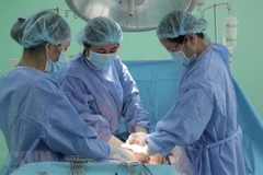 Ảnh minh họa. (Nguồn: TTXVN)