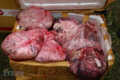 Một lô hàng sản phẩm động vật đã bốc mùi hôi thối. (Ảnh minh họa. Nguồn: TTXVN)