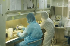 Xét nghiệm virus SARS-CoV-2. (Ảnh: Đinh Hằng/TTXVN)