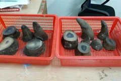Một vụ buôn lậu sừng tê giác bị phát hiện, thu giữ. (Ảnh: TTXVN phát)
