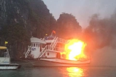 Ảnh chỉ có tính minh họa. (Ảnh: Văn Đức/TTXVN)